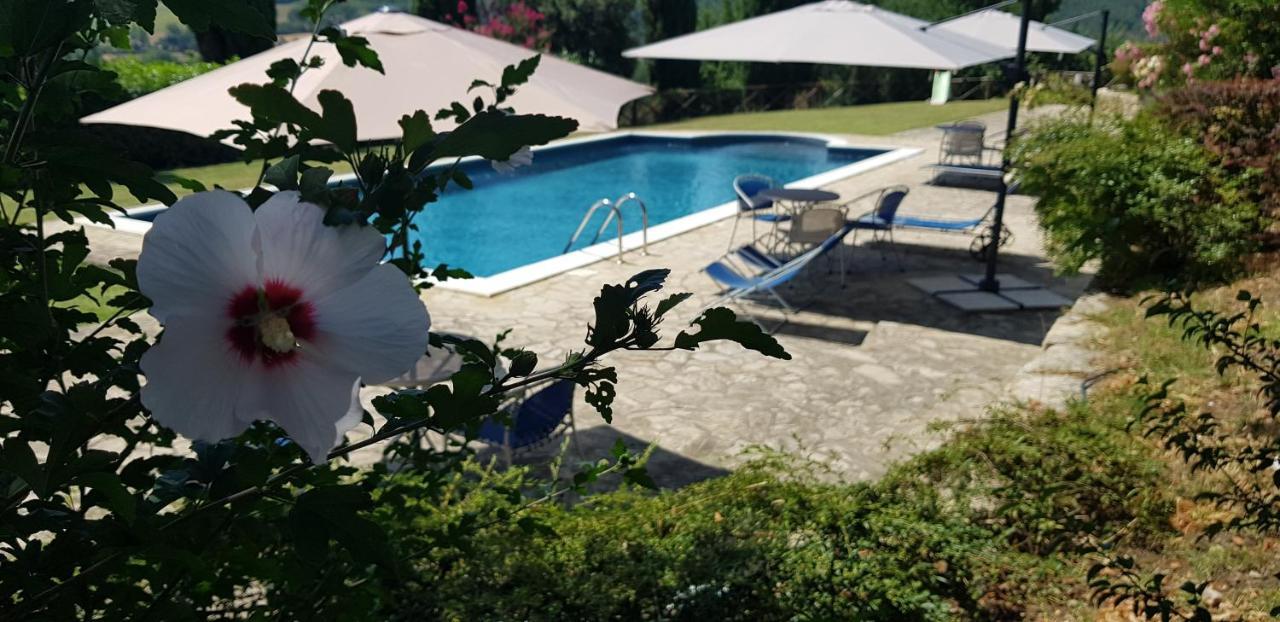Case In Campagna Con Piscina A Todi Exterior foto